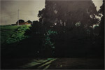 Shadow-web-thumb
