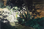 Secret Garden (oil on canvas) 75 x 105 cm